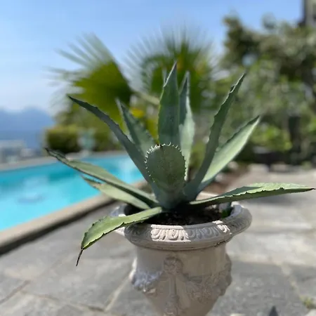 Casa Sonora Appartamento *